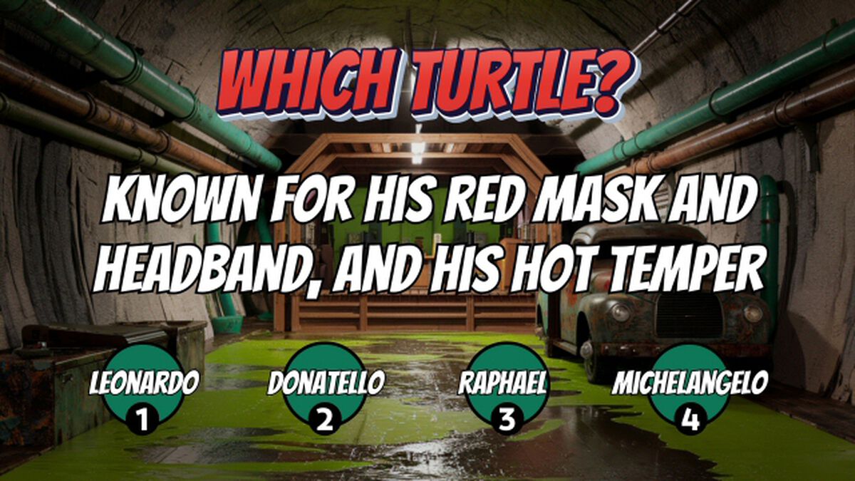 Which Turtle? image number null